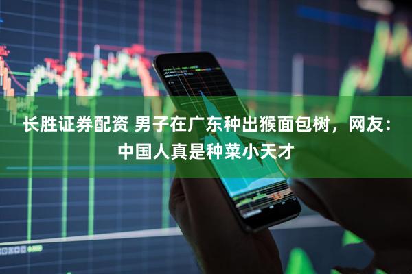 长胜证券配资 男子在广东种出猴面包树，网友：中国人真是种菜小天才